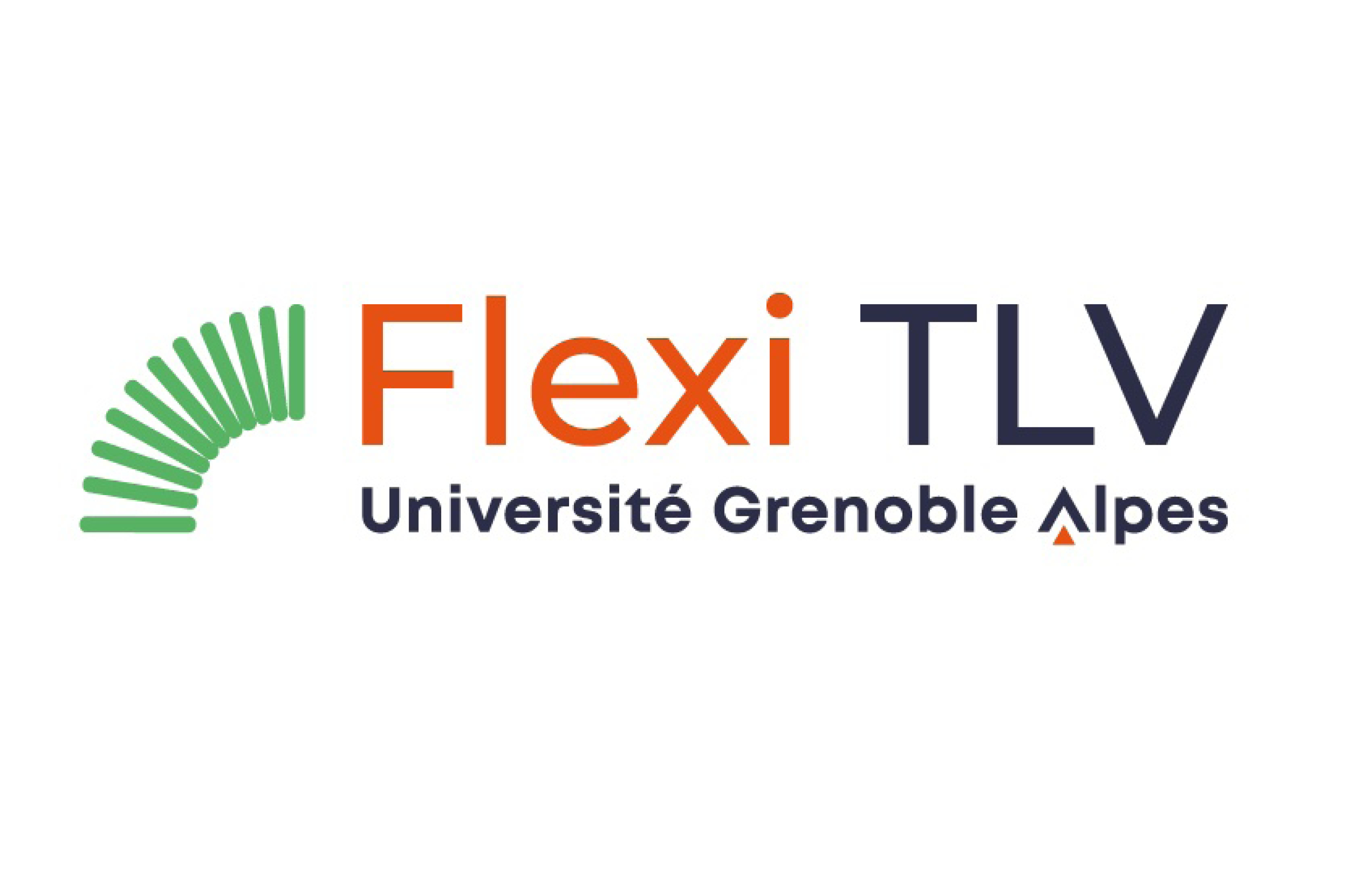 logo Flexi TLV =